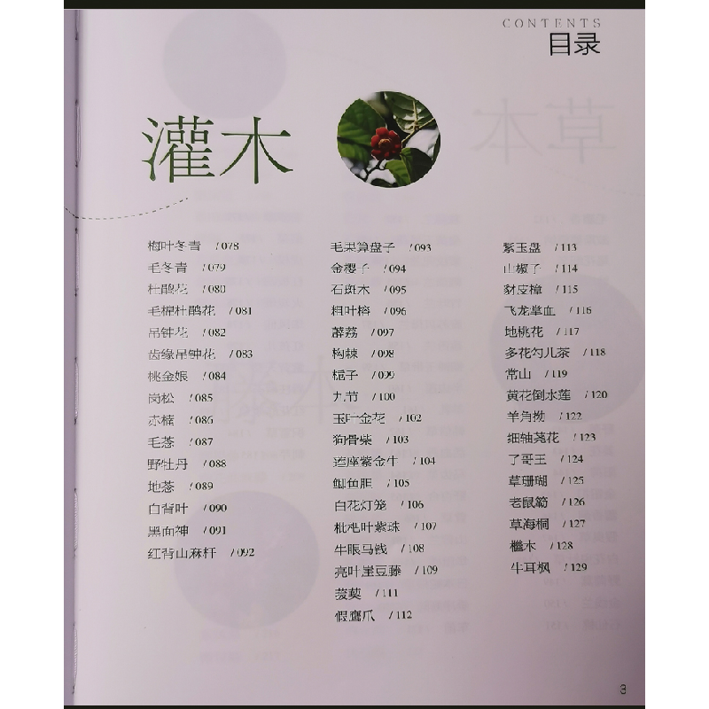 醉染图书草木南粵(山野篇)9787535972859高清大图