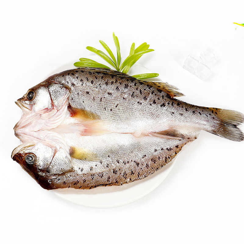 七星鲈鱼海鲈鱼鲜活新鲜调味海鲈鱼一条400g±50g海鲜水产鲈鱼 七星