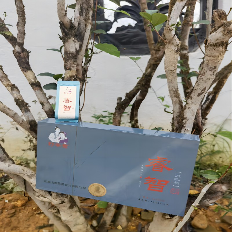 野茶君 茶叶 大红袍(睿智)166g高清大图
