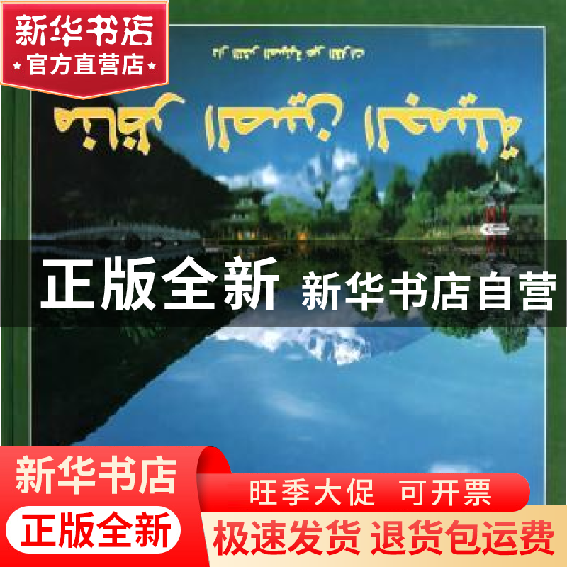 正版 中国风光 林武汉主编 五洲传播出版社 9787508519180