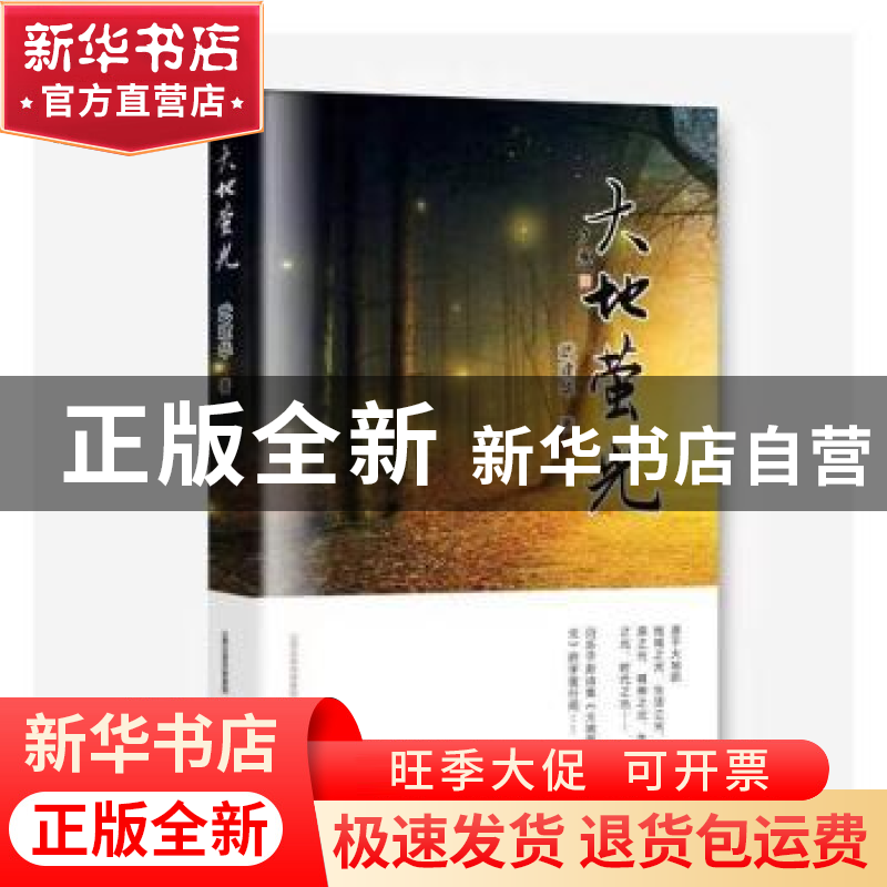 正版 大地萤光 武建华著 北岳文艺出版社 9787537866071 书籍