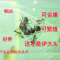 小莫蚁馆 伊大头蚁 宠物蚂蚁 科普教育 家园 蚂蚁工坊生日礼物 1后20-30工