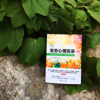 变态心理实录2：资深心理咨询师20则人格障碍疗愈手记