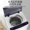 威力5.5公斤全自动波轮洗衣机洗脱一体单身宿舍家用XQB55-5599A