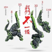 福岗兰花香安溪铁观音特级浓香型2025新茶乌龙茶袋装礼盒装茶叶