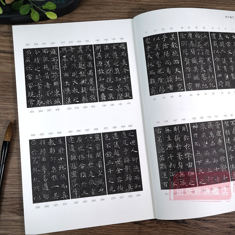 [正版]褚遂良雁塔圣教序字典 中国碑帖临习字典 按偏旁部首归类行书隶书楷书毛笔书法字典工具书 书法爱好者快速掌握字体结