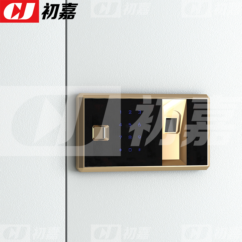 初嘉(CJ) CJ4102418 保密柜顶柜矮柜密码锁文件柜保密柜 指纹锁
