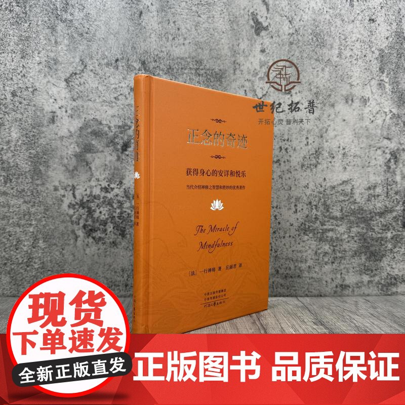 [樊登]2024新版 正念的奇迹 一行禅师 是现代的佛教禅宗诗人 人生哲学心理学舍得放下 湖南文艺出版社高清大图