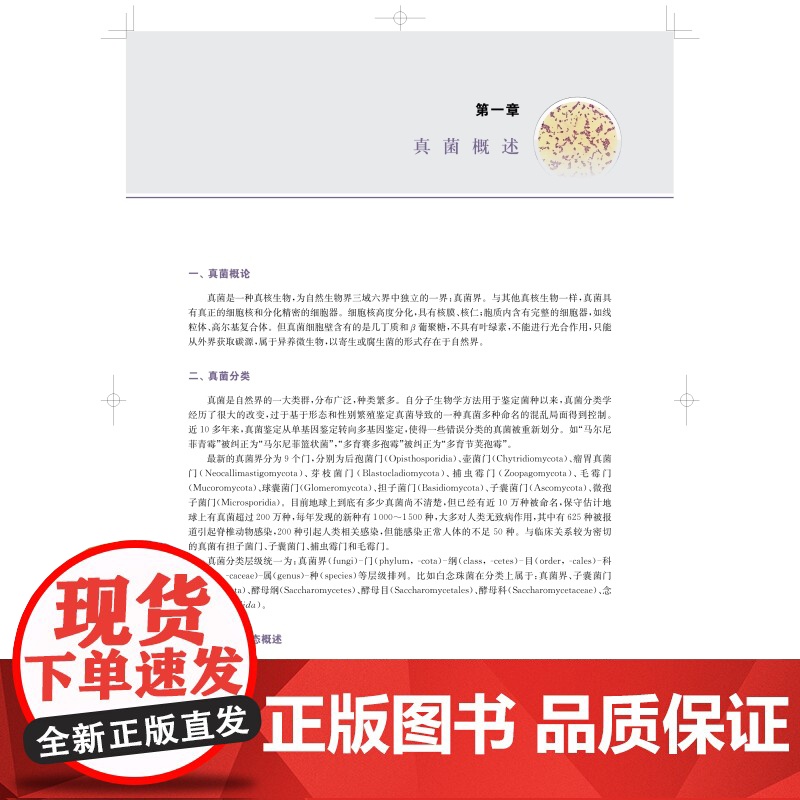 医学真菌检验与图解第二版 实用真菌检验备查书上海科学技术出版社真菌图谱图解临床医学检验高清大图