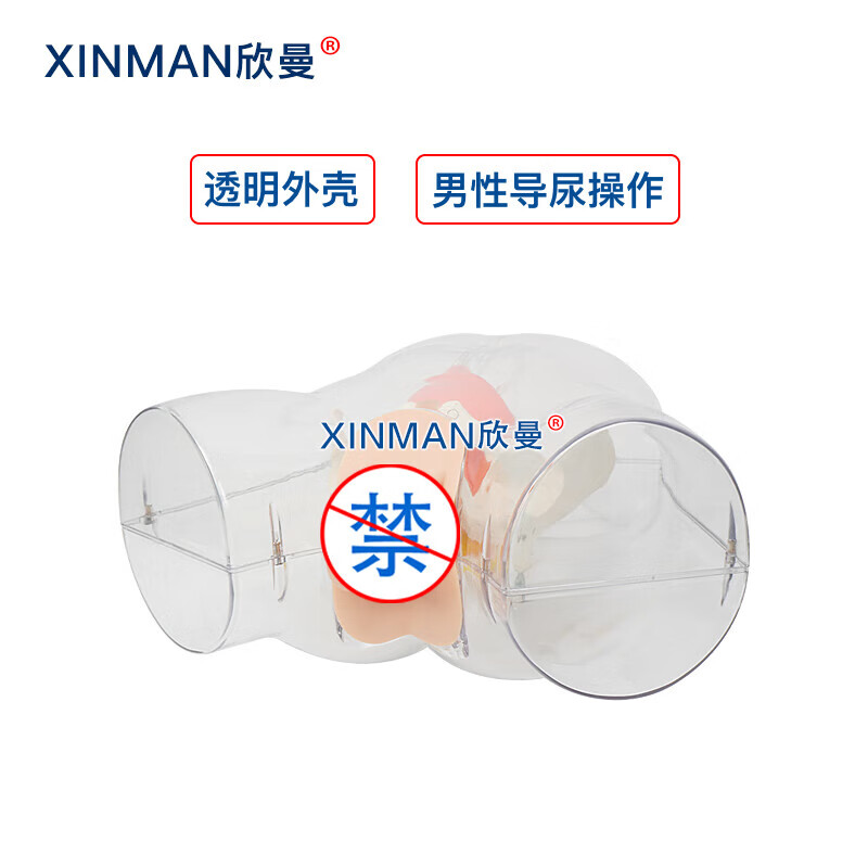 欣曼科教 高级透明男性导尿模型 男性透明导尿操作训练模拟人 医学教学模型 XM-H14高清大图