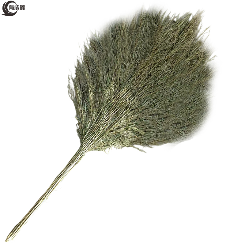 有成鑫 竹扫把180*70cm/把