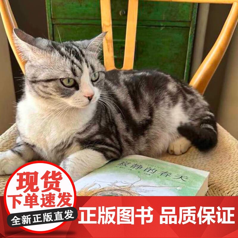 寂静的春天 蕾切尔·卡森 中文分级阅读 九年级 全译本 科普 文学 环境保护 科普 DDT 杀虫剂 果麦文化高清大图