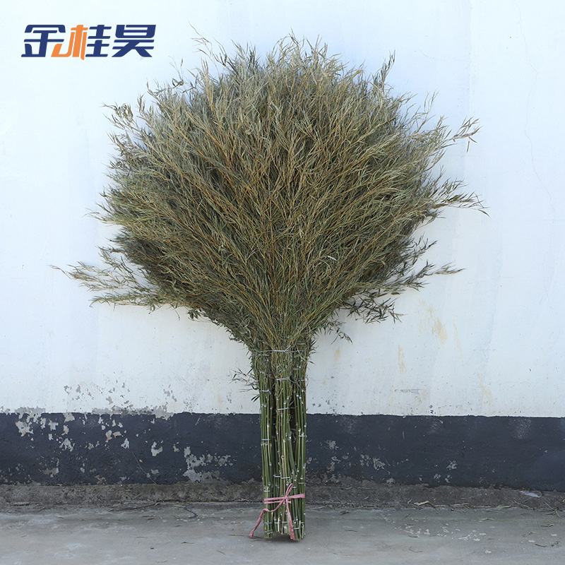 金桂昊 扫把 H1.8米 把高清大图