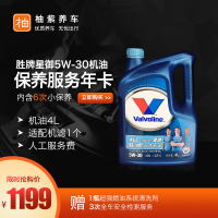【宝养汇】胜牌节油型保养年卡6次小保养服务 (4L)+3次全车安全检测+1瓶燃油系统清洗剂+机滤
