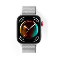 华为（HUAWEI）WATCH FIT 3 智能手表 苍穹灰 轻薄大屏运动减脂