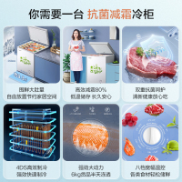 容声(Ronshen)100升顶开门家用小型冰柜 冷藏冷冻转换 迷你卧式冷柜 节能单温一级能效省电BD/BC-100MB