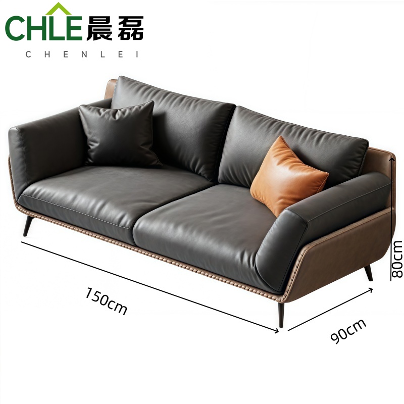 晨磊 洽谈沙发 双人位 张高清大图