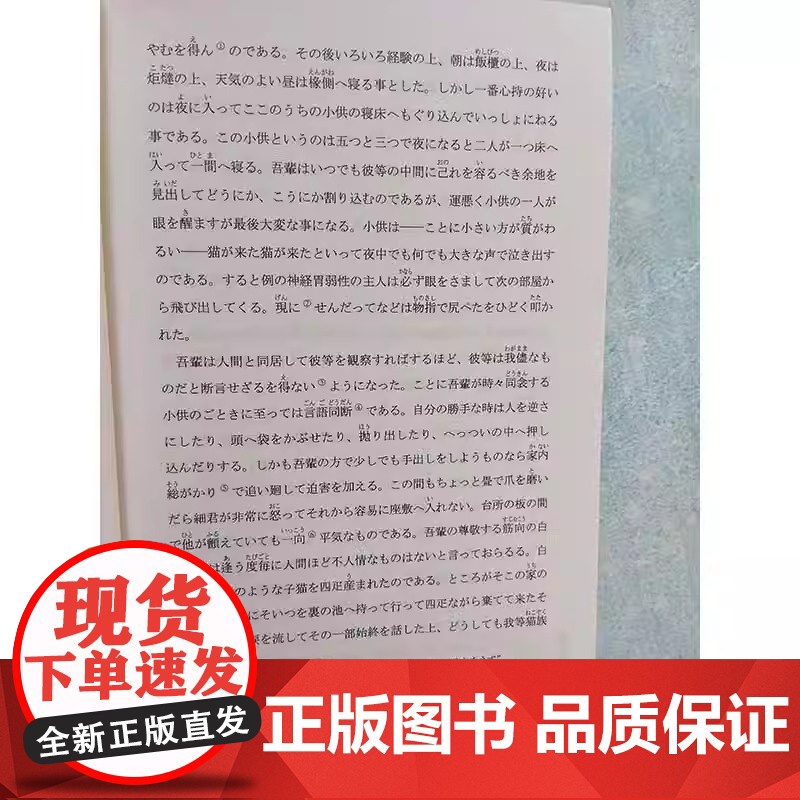 日本文学鉴赏 我是猫 日汉对照全译本人间失格 阴兽 河童 阁楼里的散步者 夏目漱石 太宰治 日语读物双语文学图书书籍高清大图