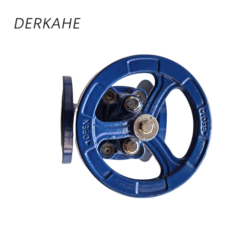 DERKAHE 软密封闸阀 Z45X-16Q DN125 个高清大图