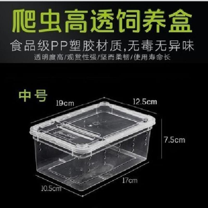 普通饲养盒 蚕宝宝观察盒手提饲养箱蚕别墅观察屋学生养蚕日记盒子