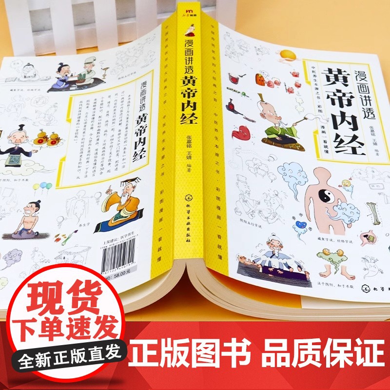 正版 黄帝内经漫画图解正版书籍漫画讲透皇帝内经白话文彩图儿童漫画版四季二十四节气养生大全书籍大全百病食疗智慧中医入门高清大图