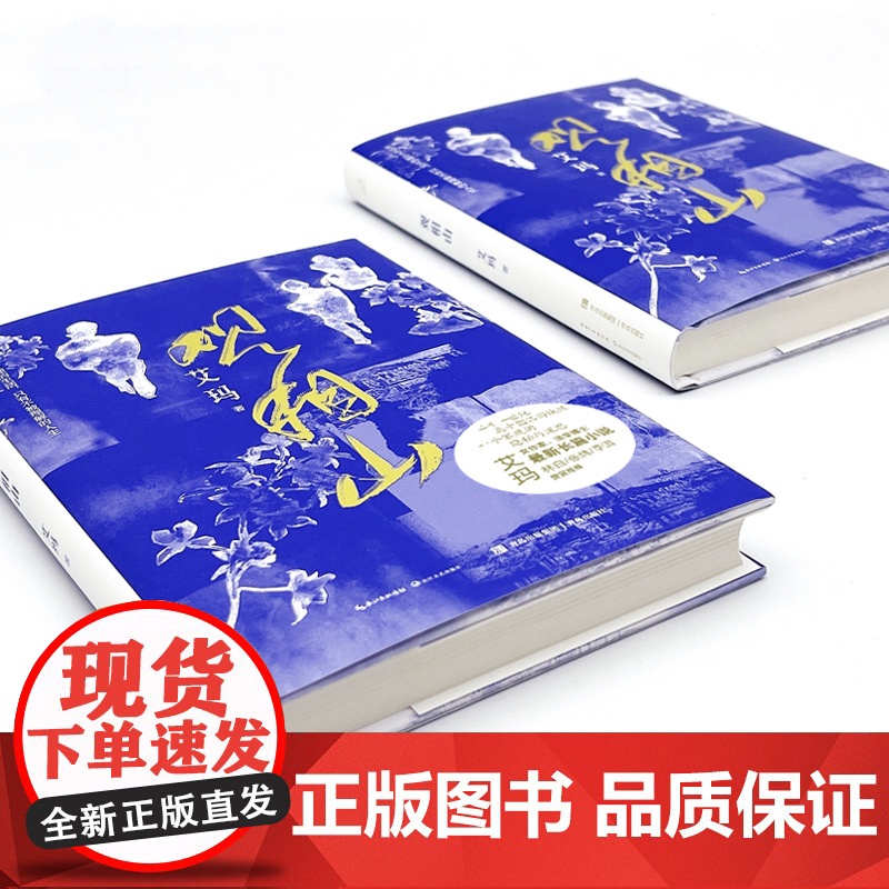观相山 艾玛全新长篇小说 林白、张炜、李洱赞赏 从没有不合理的生活 只有不被理解的人生 中国当代小说 长江文艺出版社高清大图