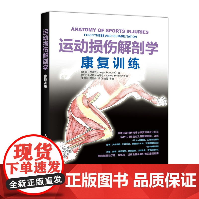 运动损伤解剖学 康复训练 [英]利·布兰登(Leigh Brandon) 解析运动损伤预防与康复训练设计方法 结合104高清大图