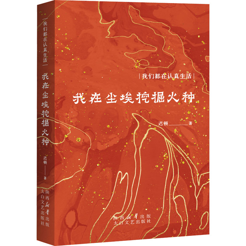 我在尘埃挖掘火种