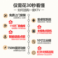 炫宝迪 家庭ktv音响套装专业家用卡拉ok点歌一体机功放音箱全套 [流行款]22寸/6T