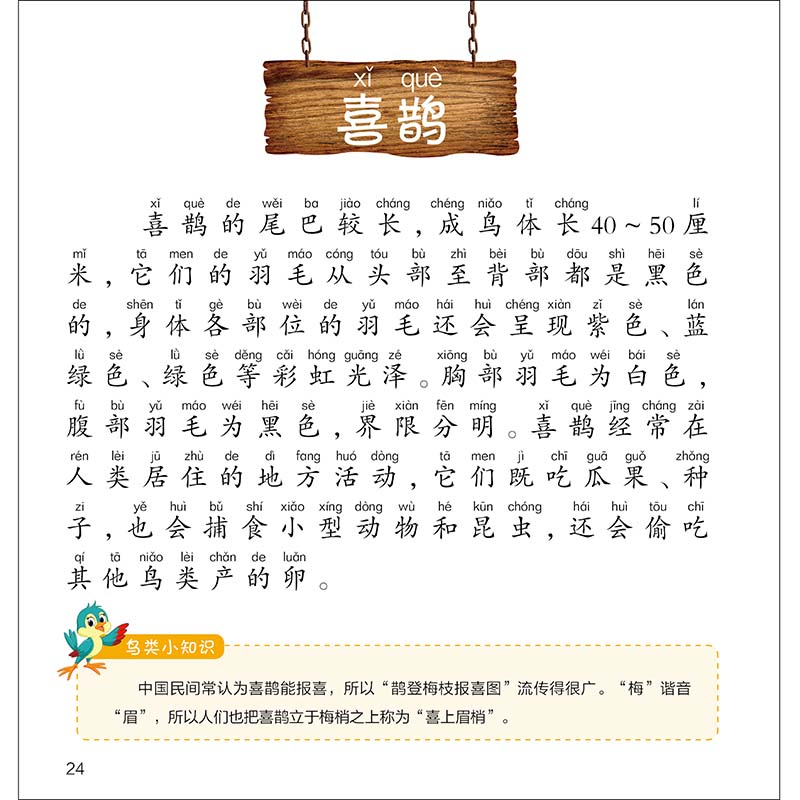 醉染图书鸟类小百科 1分钟儿童小百科9787571315高清大图