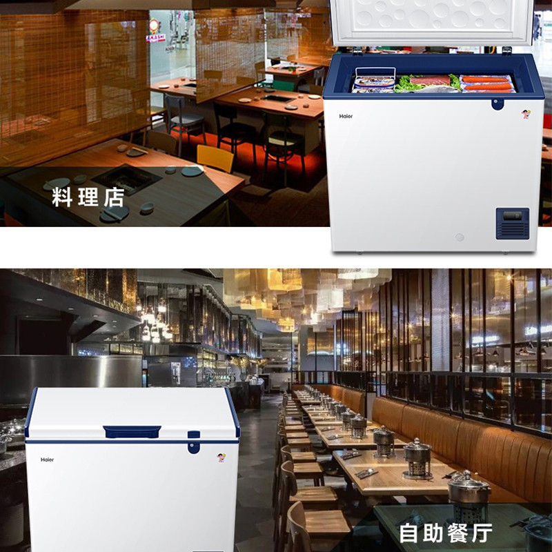 海尔(Haier) DW-60W321EU1 冷柜 -65度低温 深冷速冻柜