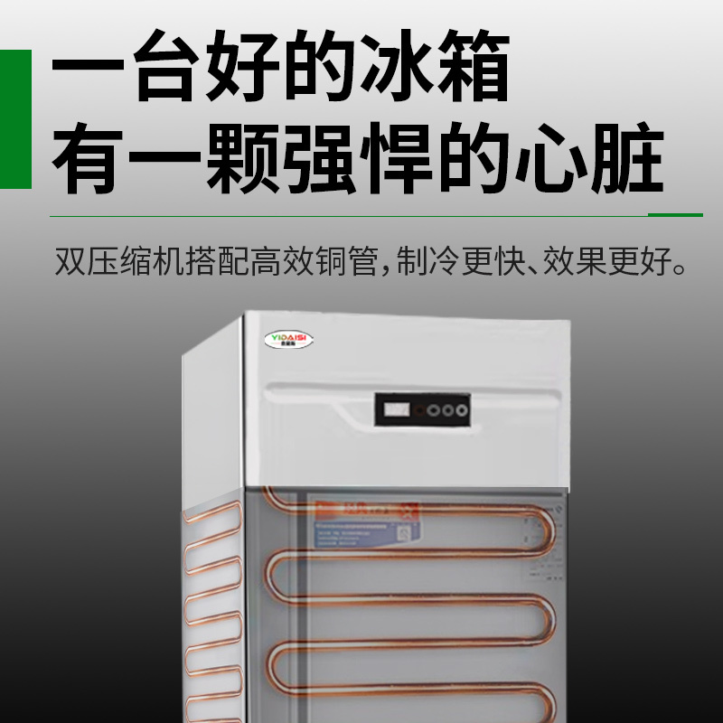 意黛斯(YIDAISI)商用立式二门冰箱冷柜 两门冷藏大容量展示柜 饭店酒店专用直冷冷藏款YDS-ZSZLLC-0.5C