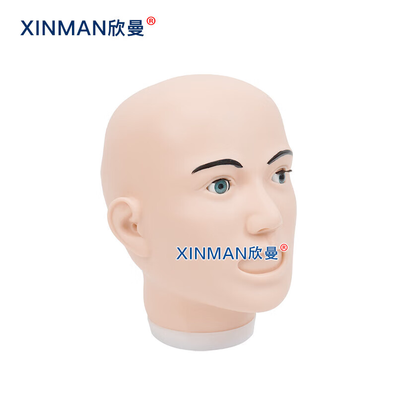 欣曼科教 清创缝合头部训练模型XM-WL300高清大图