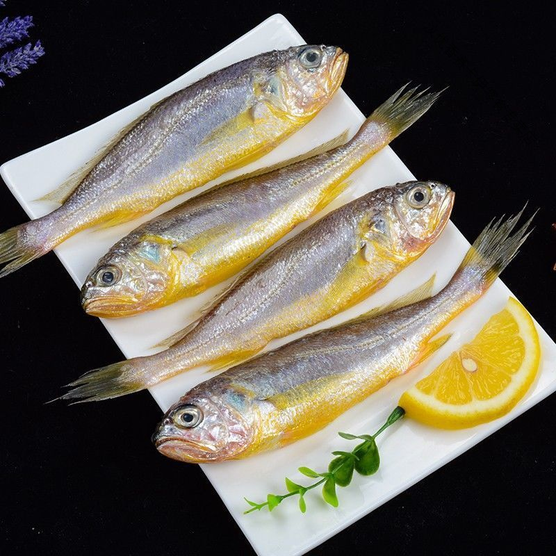 东海海捕海鲜黄花鱼海鲜小黄鱼海鲜鲜活黄花鱼海鲜鲜活小黄鱼5斤装