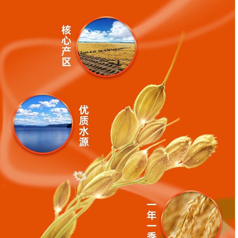 十月稻田 生态长粒香大米 5KG 袋高清大图