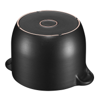 爱仕达(ASD) 砂锅陶瓷煲砂煲明火养生甄陶高汤煲锅RXC40B1QH 4.2L