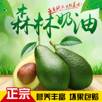苑果苑 墨西哥牛油果鳄梨油梨单果2个装中大果新鲜热带水果