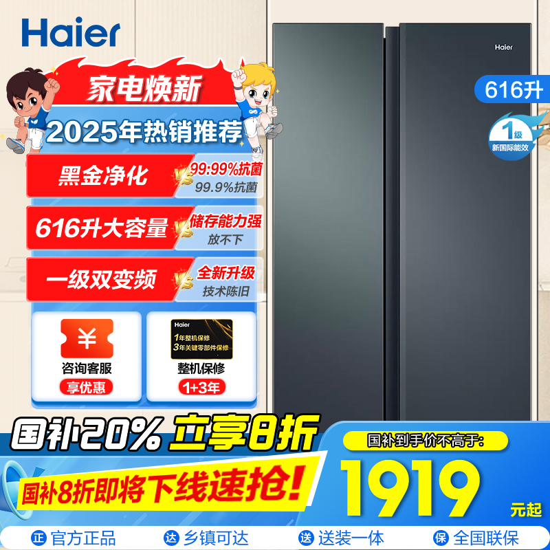 海尔(Haier)616升对开门超薄嵌入冰箱 鲸式储量 黑金净化 双变频一级能效 BCD-616WGHSSEDC9