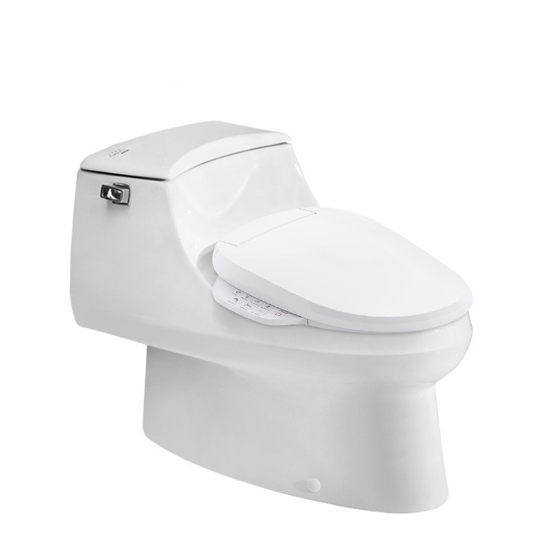 科勒KOHLER马桶 连体座便器坐便器 圣拉菲尔五级旋风节水型5483夜光智能盖板8297套装
