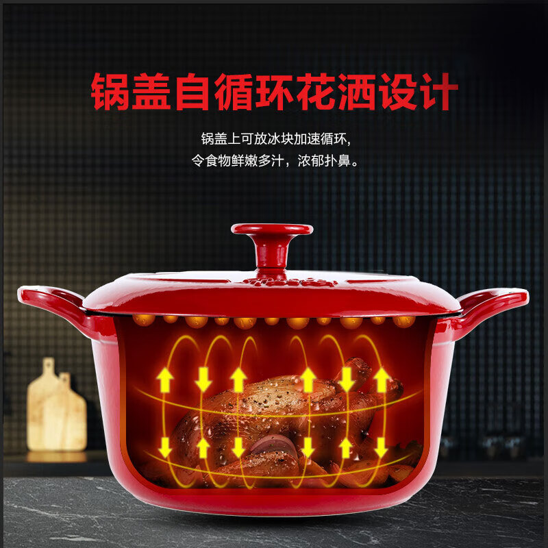 Fissler菲仕乐食色系列20厘米铸铁锅 EMP-C202N002R高清大图