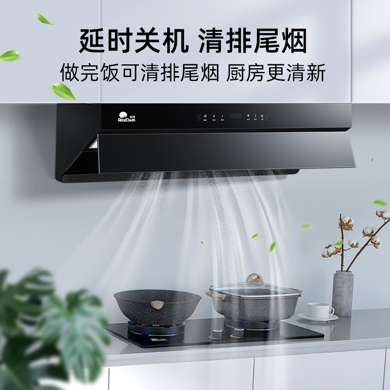 红日(RedSun)高端烟灶套装抽油烟机红外线定时燃气灶组合厨电套餐体感控制大吸力RTEU09+EM618B 液化气