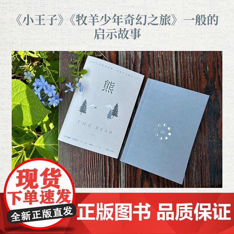 熊 安德鲁克里瓦克 译者黄建树浙江文艺高清大图