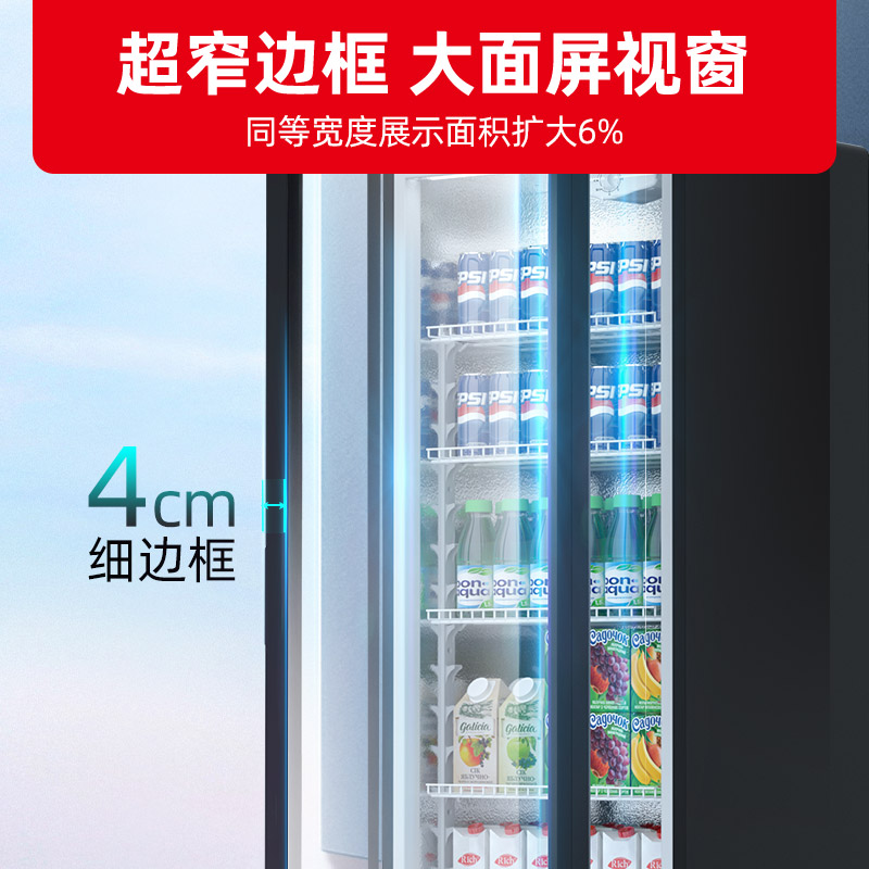 星星(XINGX)LSC-360YPE 362升 冷藏展示柜 立式冰柜 保鲜柜 饮料柜 商用展示柜高清大图