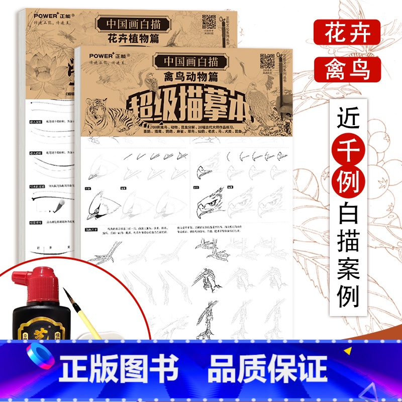 【正版】国画花鸟白描入门套装 勾线笔墨汁墨碟 工笔花鸟画底稿临摹 花鸟鱼虫虎猫马犬 白描临摹画册 临摹画本 国画描摹本