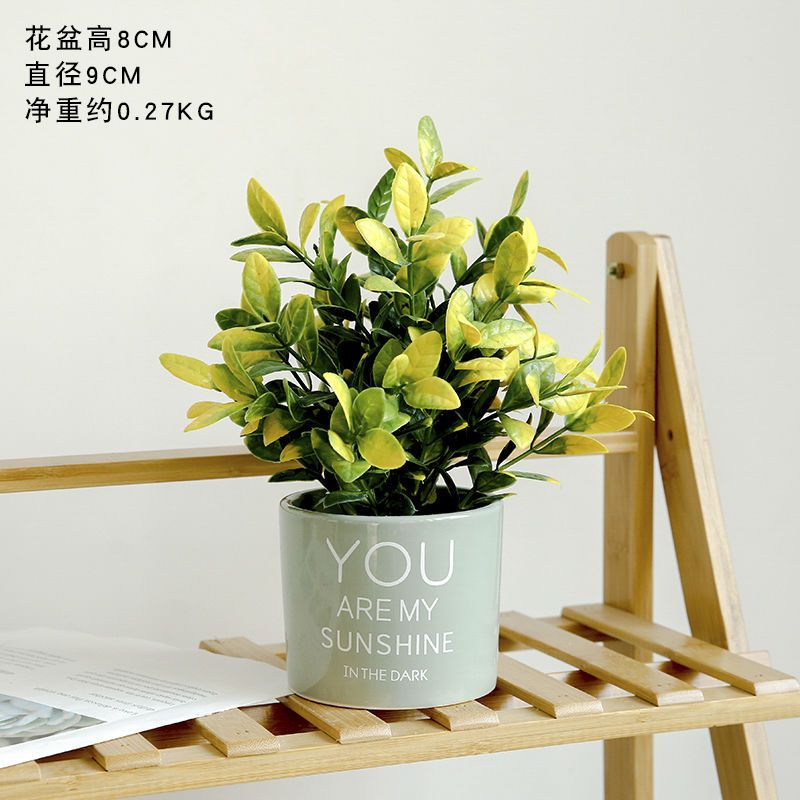 仿真绿植假花盆栽装饰小摆件创意室内客厅办公桌面花卉植物盆景 绿色花盆 黄绿色富贵叶报价 参数 图片 视频 怎么样 问答 苏宁易购