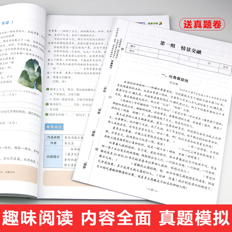 醉染图书6年级/小学语文阶梯阅读训练108篇9787557019310高清大图