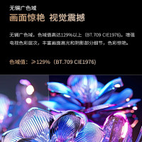 夏普 4T-C75GN7000A 75英寸4K超高清4+64G大内存杜比全景声144HZ高刷 无镉广色域 远近场语音电视