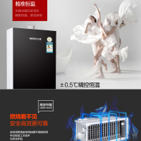 火王热水器 JSQ24-H12/B3