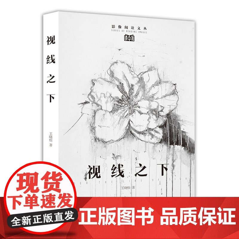 视线之下