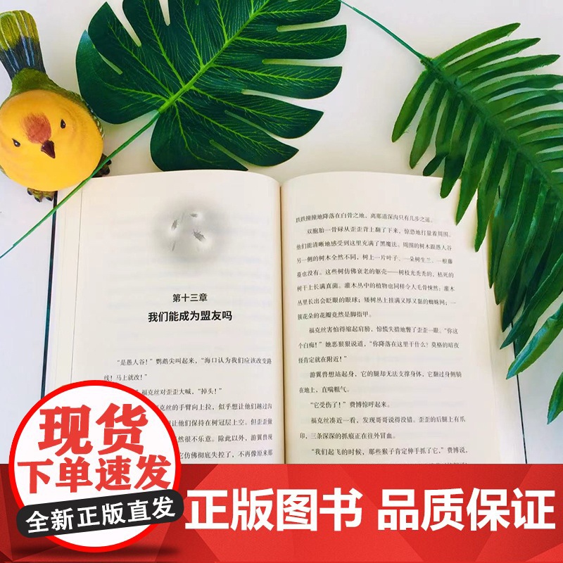 雨林之国 走进小主人公温暖勇敢的内心世界 儿童文学经典故事书6-9-12岁课外读物高清大图